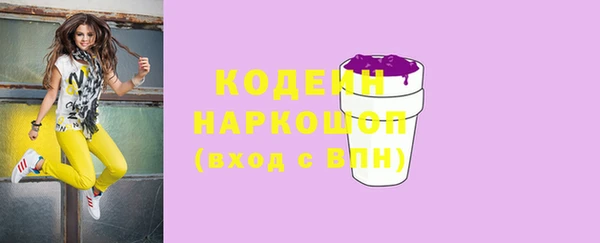 прущий лед Арсеньев