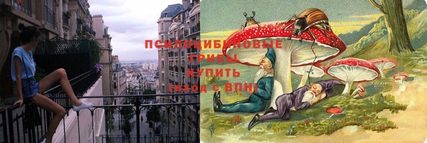 прущий лед Арсеньев